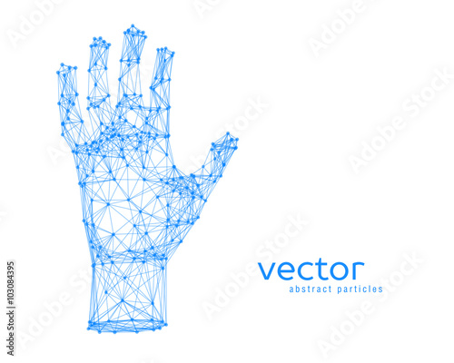 Vector illustration of human arm