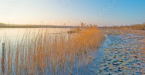 Shore of a lake in sunlight in winter