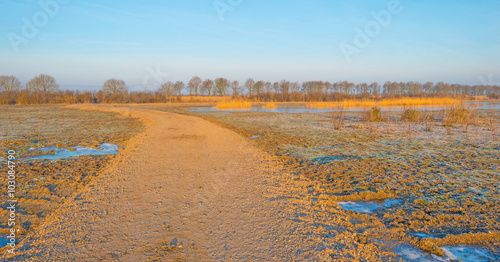 Shore of a lake in sunlight in winter