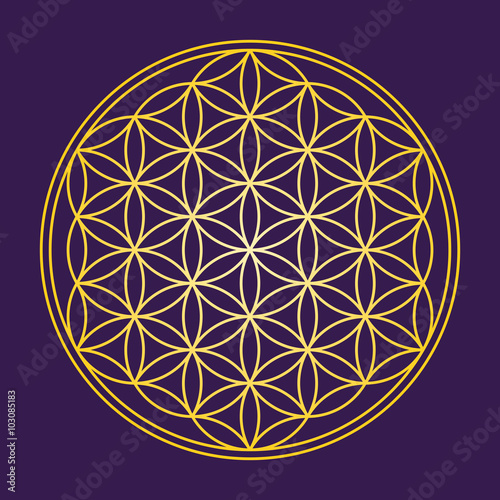 Flower of Life - Gold on dark purple background - a geometrical figure, composed of multiple evenly-spaced, overlapping circles. A strong symbol since ancient times, forming a flower-like pattern.