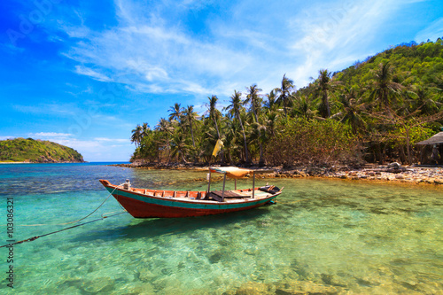 Landscape view of boat in the beach, with coconut tree as backgr