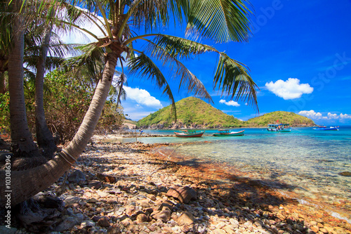 Landscape of Coconut tree in NamDu island, VietNam photo