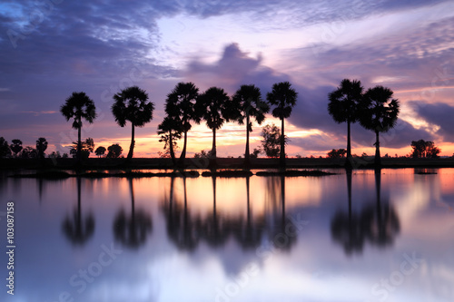 Colorful sunrise landscape with silhouettes of palm trees on Cha photo