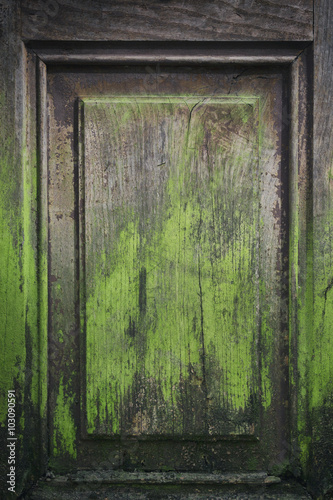 Old peeling paint door