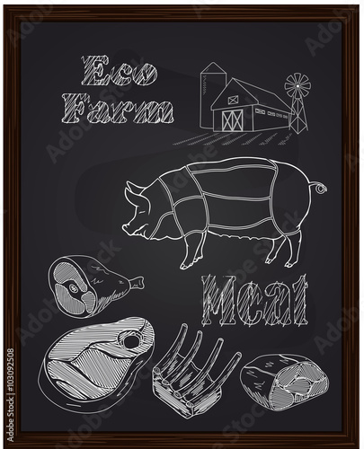 pork diagram and pieces of meat