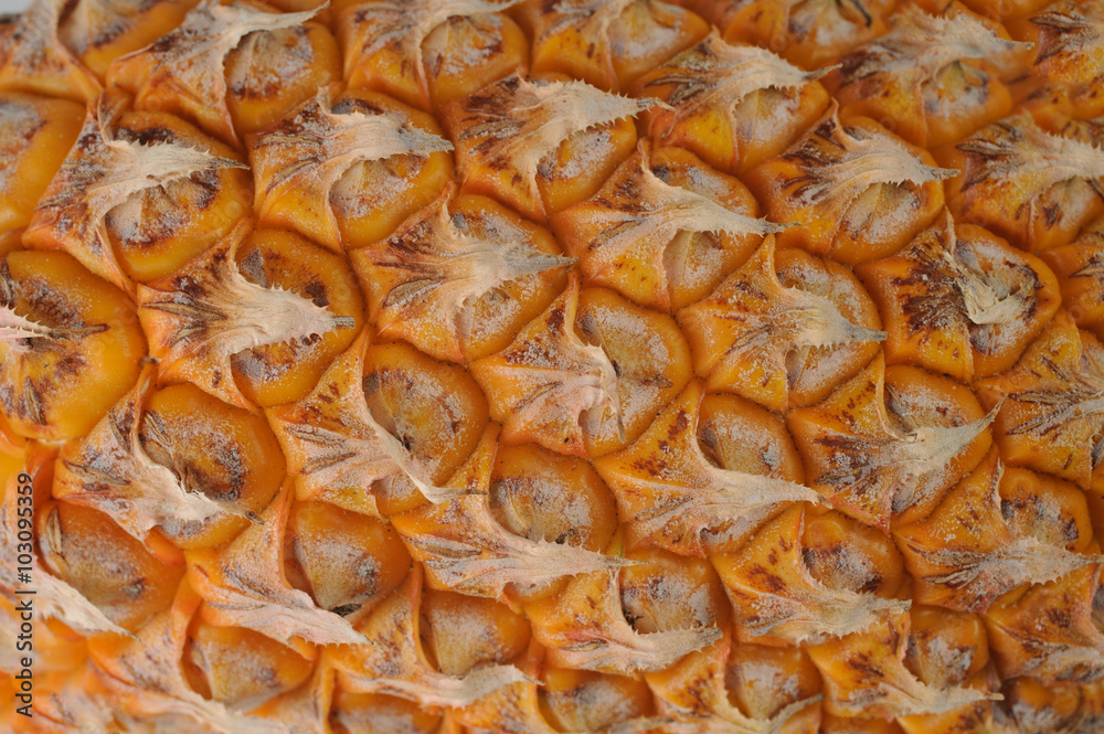 texture of pineapple skin as background texture of pineapple skin as background