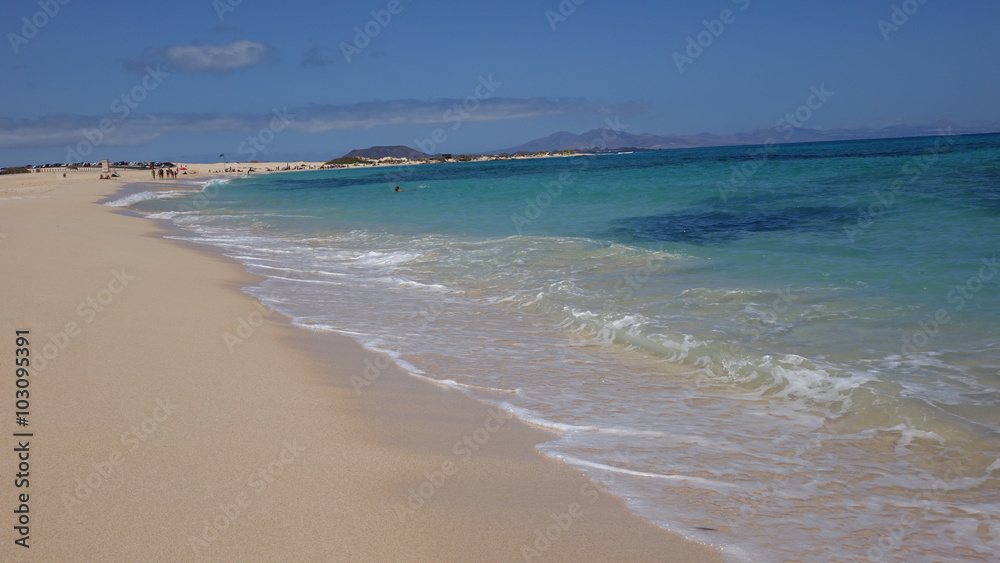 The beach,Natural park,Corralejo,Canary-islands,Spain The beach,Natural park,Corralejo,Canary-islands,Spain