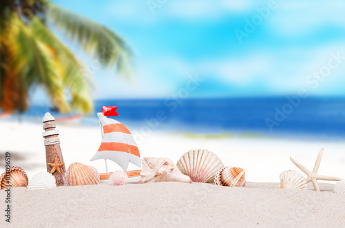 Fototapeta Naklejka Na Ścianę i Meble -  Shells on sandy beach with tropical beach background 