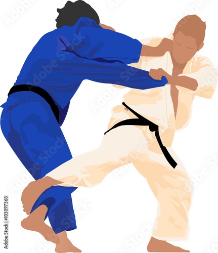 Εκτύπωση καμβά Judo is a modern martial art
