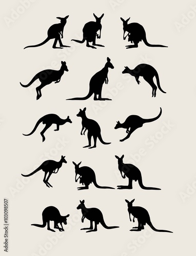 Kangaroo Silhouettes  art vector design