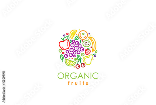 Healthy Organic eco vegetarian food Logo fresh farm fruits