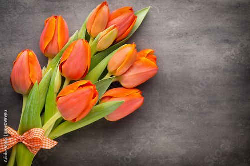 Tulips, orange on the grey  background.