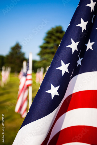 American Flags Picture