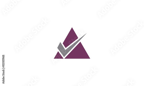  triangle check business logo