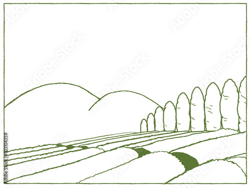 Tea plantation