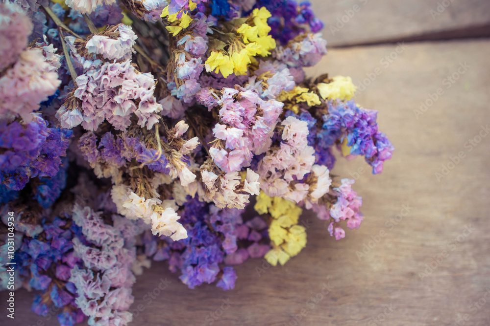 Fototapeta premium dry flower