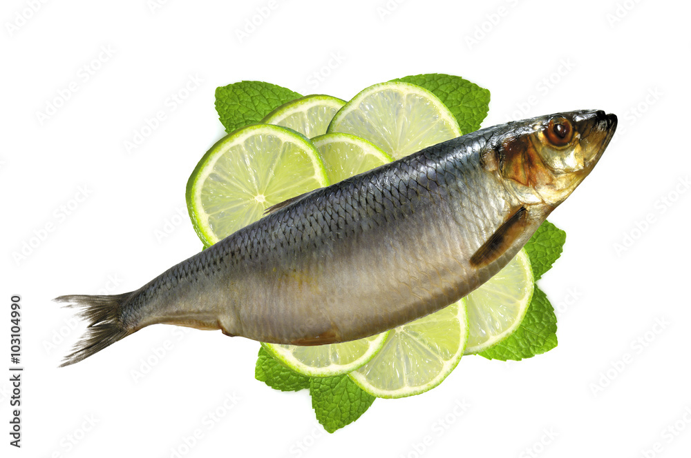 Smoked Mackarel on lime slices and mint herb isolated on white Smoked Mackarel on lime slices and mint herb isolated on white
