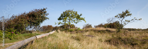 Naturschutzgebiet Duhner Heide photo