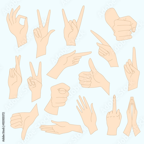 Vector illustrations set of universal gestures of hands. Hands in different interpretations.