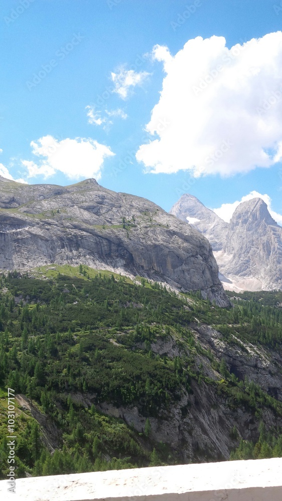 Fototapeta premium cime montuose