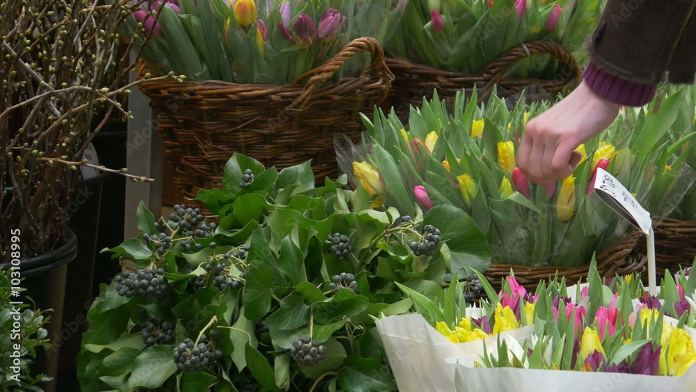 Tulips and flowers in Amsterdam 4K Stock Video | Adobe Stock