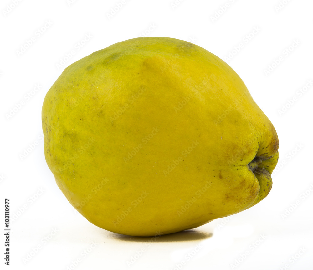 quince isolated over white