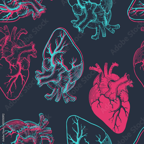 anatomical hearts