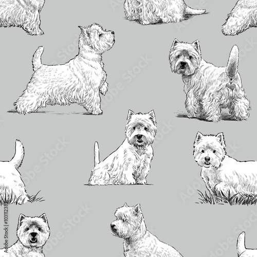 scottish terrier pattern
