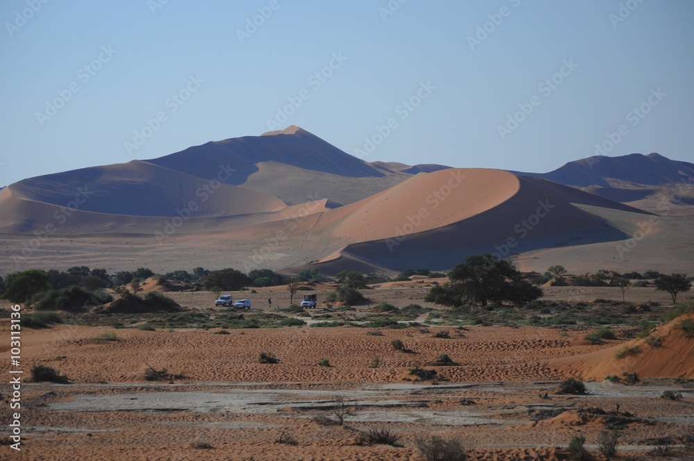 Desert excursion