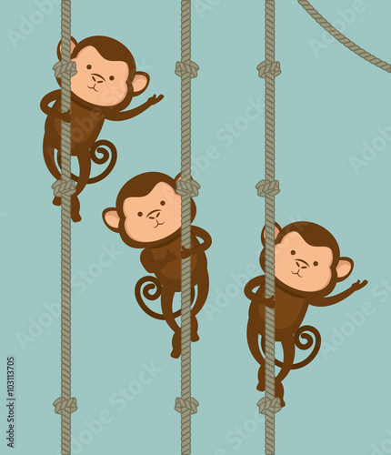 Photography funny monkey design