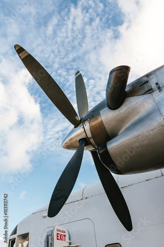 Fotografie Plane at the airport