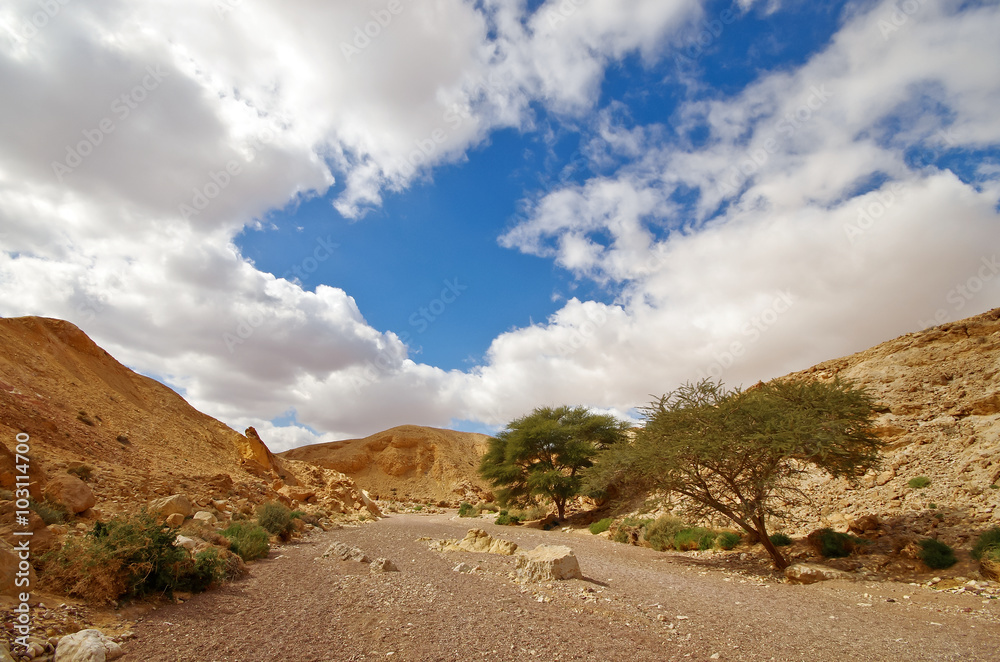 Way in the desert, near red canyon, Israel Way in the desert, near red canyon, Israel