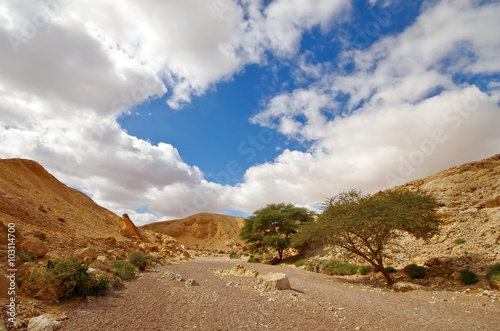 Way in the desert, near red canyon, Israel