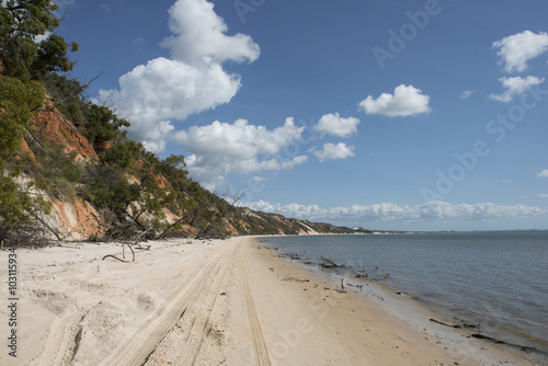 Fototapeta Naklejka Na Ścianę i Meble -  Playa de arena blanca en la costa australiana de Queensland. 