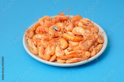 prawn Shrimp