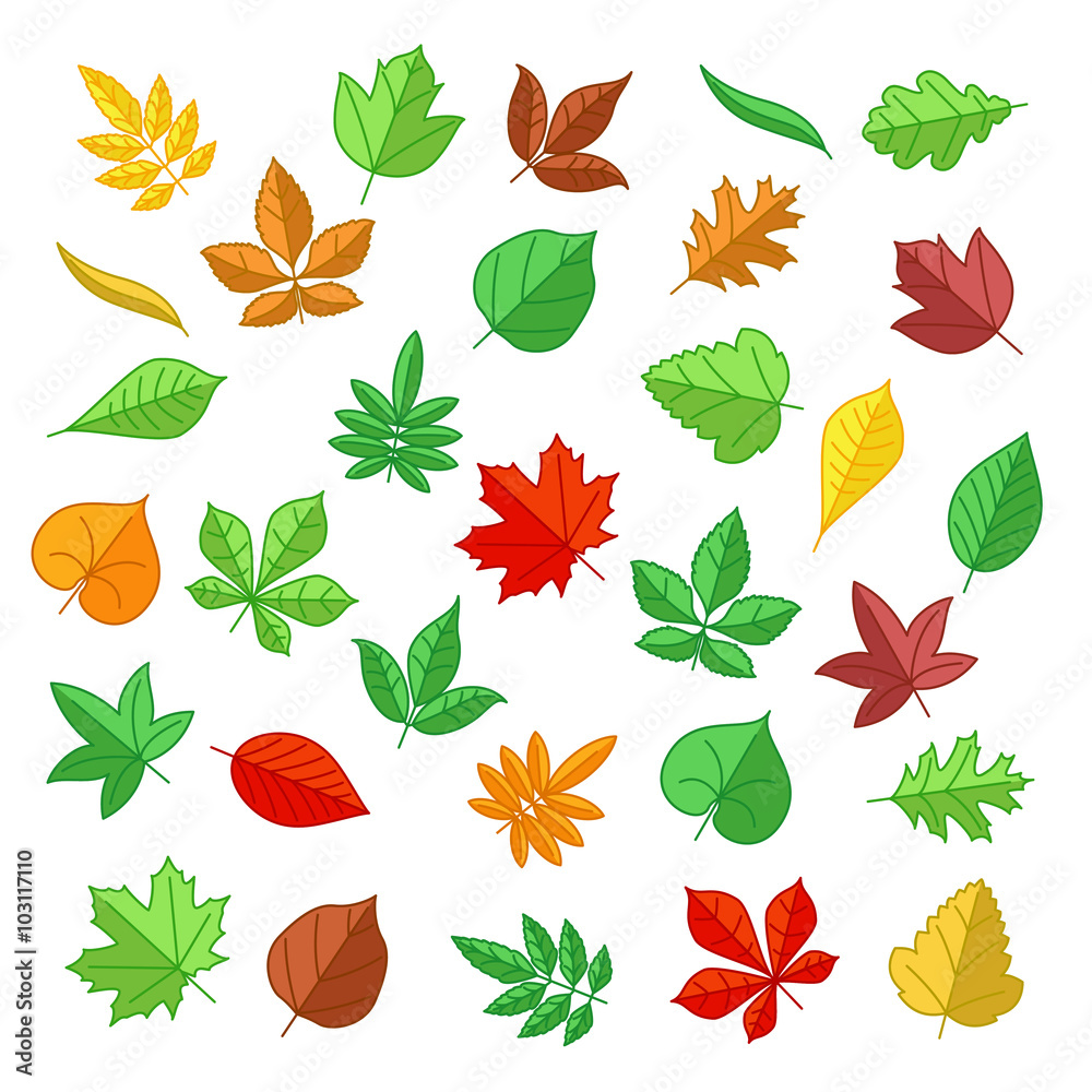 Autumn and summer leaves in flat style. Nature leaves, summer plant, autumn leaves, natural leaf. Vector illustration icons set Autumn and summer leaves in flat style. Nature leaves, summer plant, autumn leaves, natural leaf. Vector illustration icons set