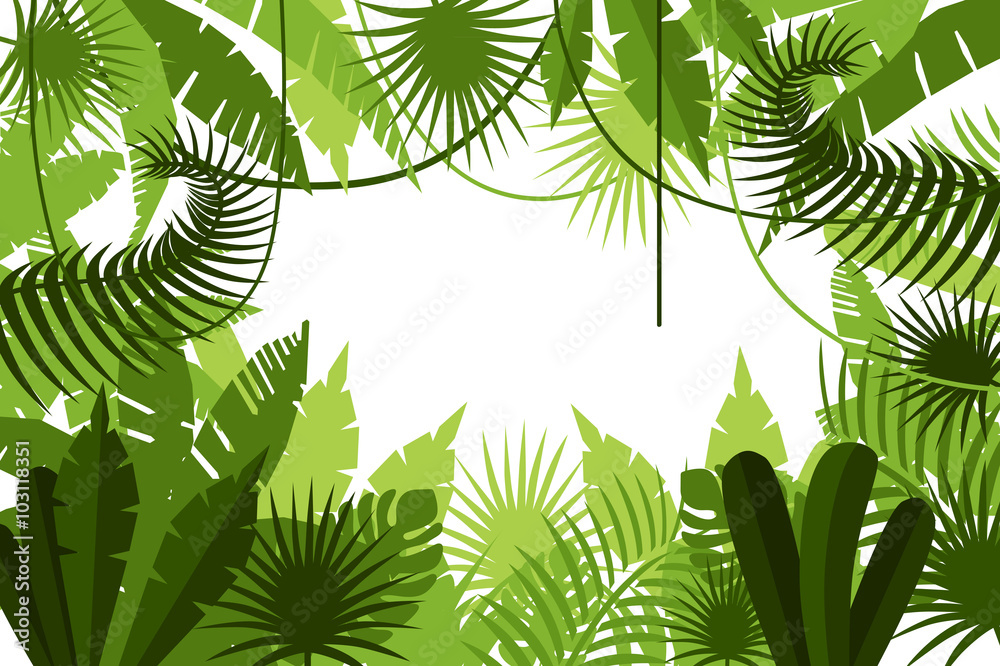 Obraz premium frame. jungle. vector illustration