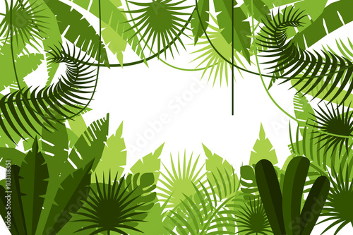 frame. jungle. vector illustration