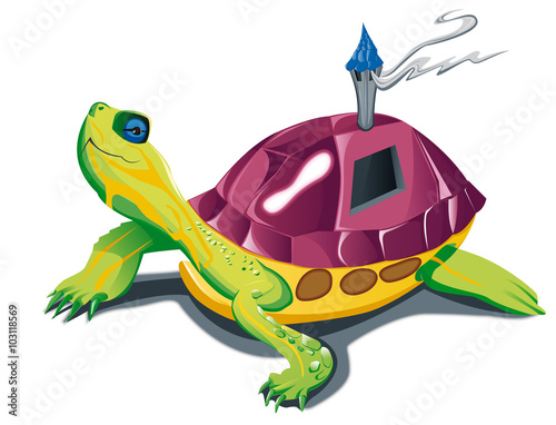 Une tortue marchant