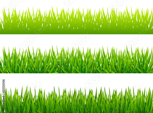 Green grass borfers on white background
