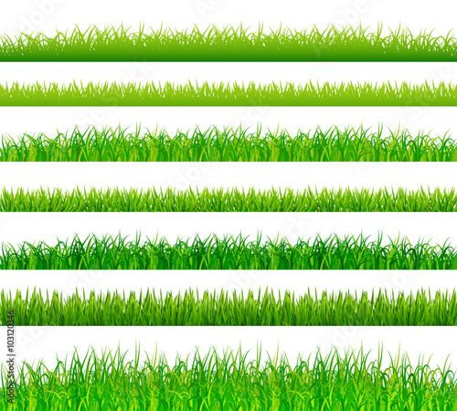 Fototapeta Ustawione granice zielonej trawy