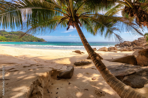 Fototapeta Naklejka Na Ścianę i Meble -  Anse Lazio beach at Praslin island, Seychelles