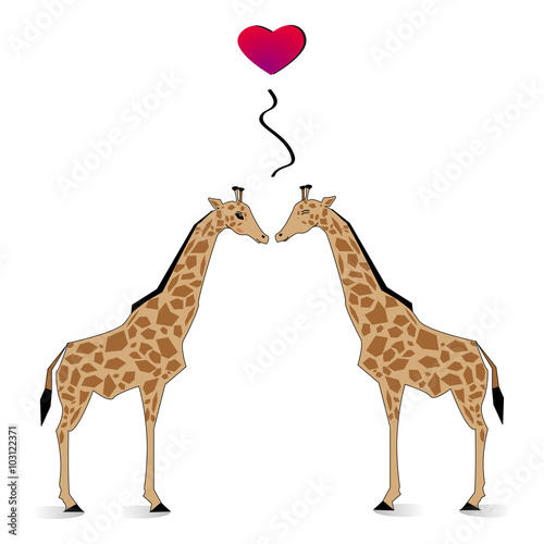 Girafee Love. Valentine Vector Illustration. photo