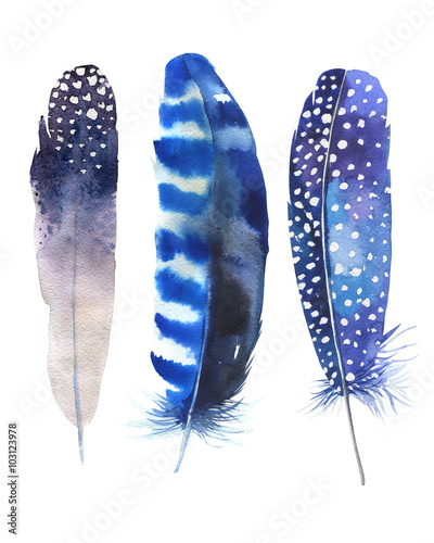 Hand drawn watercolor feather set. Boho style. illustration isol © kris_art