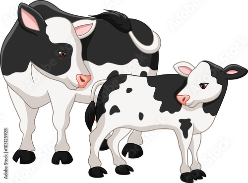 Cute cow mother with baby calf