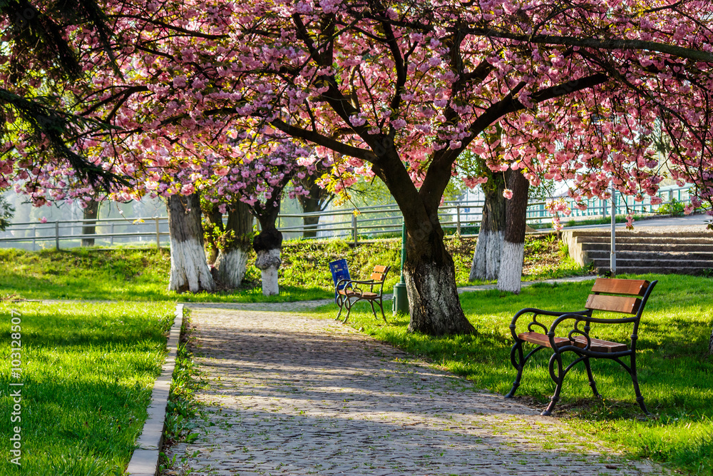 bench on the pavement in the park on a background of grass and s bench on the pavement in the park on a background of grass and s