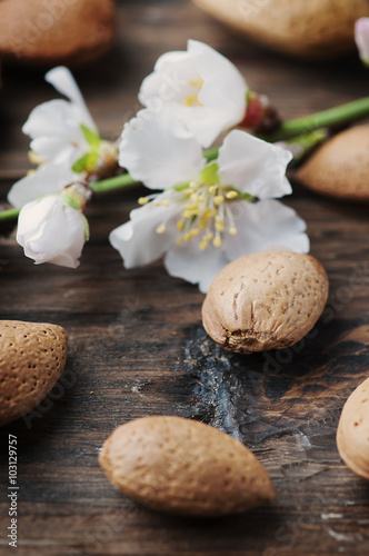 Fresh almond and flowers on the wooden table