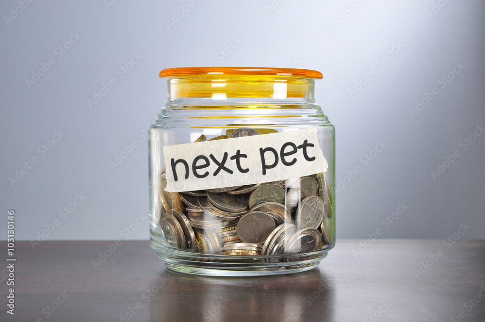 Saving concept of coins in the glass jar for next pet purpose Saving concept of coins in the glass jar for next pet purpose
