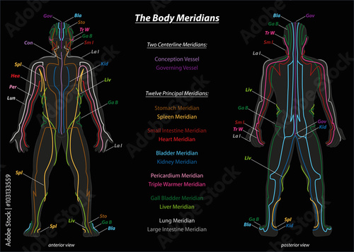Meridian system chart of TCM (Traditional Chinese Medicine). Isolated vector illustration on black background.