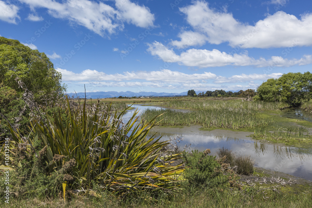 Motueka landscape near Abel Tasman National Park, South Island,